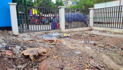 ফরিদপুর পৌর শিশু পার্কের জায়গা বরাদ্দ ও গাছ কাটা নিয়ে সমালোচনা ঝড়