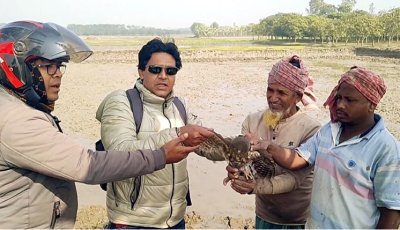 বাগাতিপাড়ায় অবৈধ কারেন্ট জাল দিয়ে পাখি শিকার