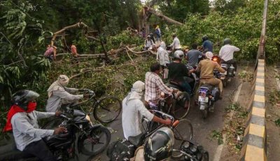 এক রাতের ঝড়ে উত্তর প্রদেশে ১০০ জনের প্রাণহানি