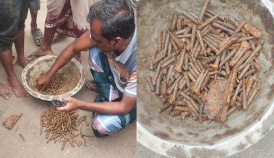 নওগাঁয় ফসলের মাঠে মিলল ৩২৫ রাউন্ড গুলি