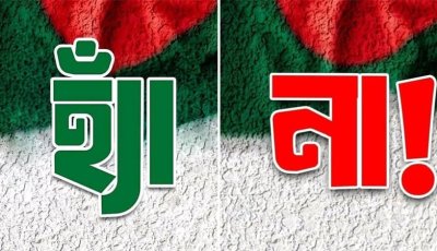 সরকার ও অন্যান্য দল হ্যাঁ ভোটের প্রচারে