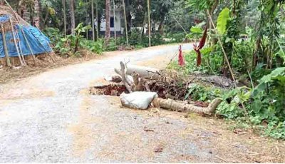 বদলগাছীতে সড়কের সাইড ভেঙে পথচারীসহ যানবাহন চলাচল ব্যাহত
