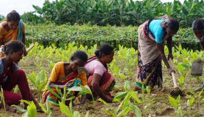 পত্নীতলায় আদিবাসী জনগোষ্ঠীর জীবনমান উন্নয়নে ‘বাদাবন সংঘ’ ইতিবাচক পরিবর্তন ঘটাচ্ছে