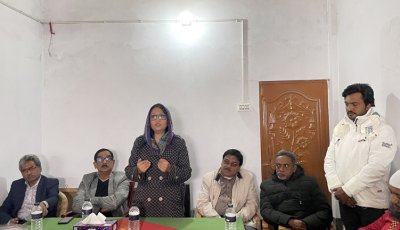 বাগাতিপাড়ায় সাংবাদিকদের সঙ্গে বিএনপি প্রার্থী ব্যারিস্টার পুতুলের মতবিনিময়