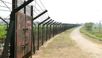বাংলাদেশ সীমান্তে নদী-খালে সাপ-কুমির নামাবে বিএসএফ