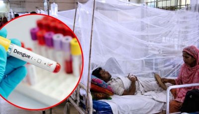 ডেঙ্গুতে ৭ জনের মৃত্যু, হাসপাতালে ভর্তি ১৩৭৩