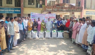 মান্দায় বিনামূল্যের সার ও বীজ পেলেন সাড়ে ১১ হাজার কৃষক