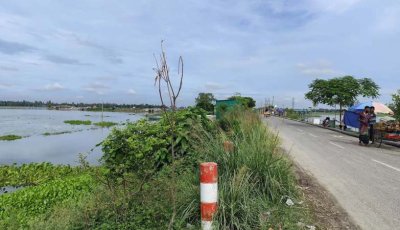 ৫০ টাকার গাছ ৪০০ টাকায় কিনে বৃক্ষরোপণ কর্মসূচি, এক মাসেই যাচ্ছে মরে