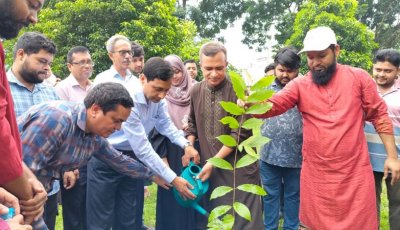 রুয়েটে যথাযোগ্য মর্যাদায় জুলাই গণঅভ্যুত্থান দিবস পালিত