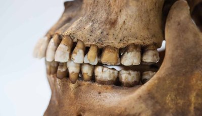 ৪০ লক্ষ বছর আগে কেমন ছিল পূর্ব আফ্রিকা, কী খেত, কী ভাবে বাঁচত বাসিন্দারা?