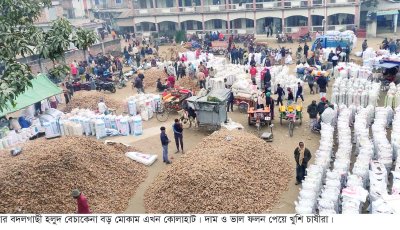 হলুদ বেচাকেনার বড় মোকাম এখন বদলগাছীা কোলারহাট