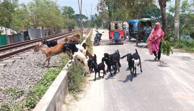 ঈশ্বরদীর বিলপাড়া গ্রামের হতদরিদ্র রাশিদার দারিদ্র জয়