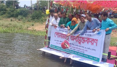 মান্দার বিলে মাছের পোনা অবমুক্তকরণ কার্যক্রমের উদ্বোধন