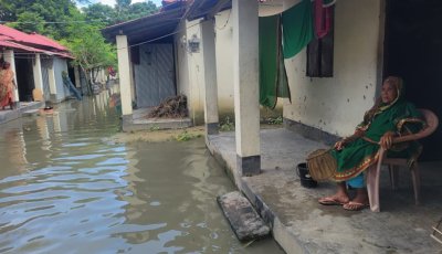 বাঘায় বন্যায় আশ্রয়ণ প্রকল্পের ৭৬ পরিবার পানিবন্দি