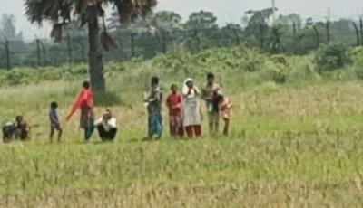 সাপাহার আদাতলা সীমান্তে ৯ জনকে পুশ-ইন চেষ্টা বিজিবির বাধা