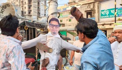 রাজশাহীতে রাশেদ প্রধানের কুশপুত্তলিকা দাহ করল ছাত্রদল