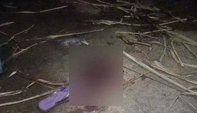 ফতুল্লায় মাদ্রাসার ছাদে খেলতে গিয়ে বিদ্যুৎস্পৃষ্ট ৫ ছাত্রী