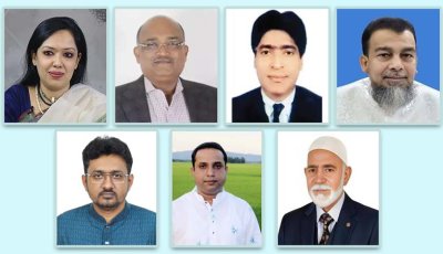 ধানের শীষকে চ্যালেঞ্জ জানিয়ে সংসদে বিএনপির ৭ ‘বিদ্রোহী’