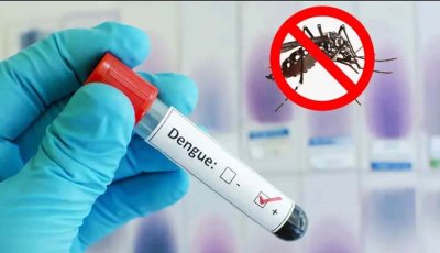 ডেঙ্গুতে একদিনে ৫ জনের মৃত্যু, হাসপাতালে ৮৩৯