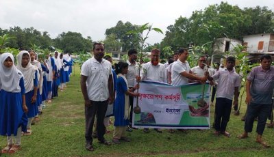 চারঘাটে ইনতেফা কোম্পানি উদ্যোগে বৃক্ষরোপন কর্মসূচি পালন