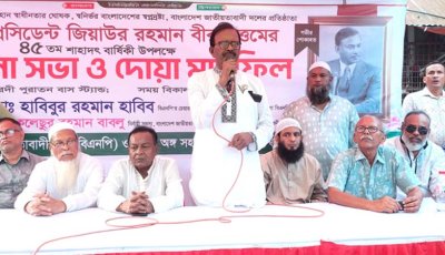 হামে শিশু মৃত্যুর জন্য আ’লীগ দায়ী : হাবিব