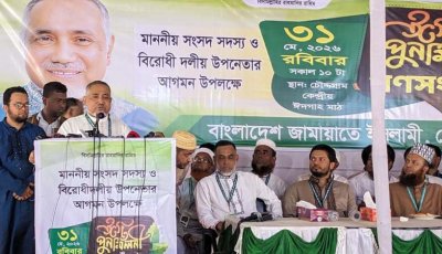 আমার পদমর্যাদা মন্ত্রীদের চেয়েও বেশি: ডা. তাহের