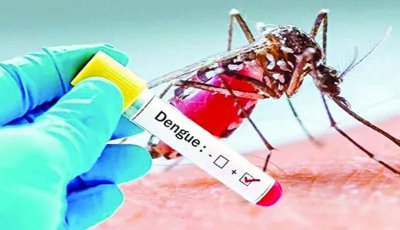 ডেঙ্গুতে আরও ৯ মৃত্যু, হাসপাতালে ভর্তি ১৯০২