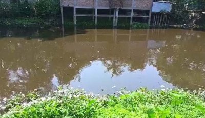 পুকুরে কোরবানির পশুর চামড়ার বর্জ্য ফেলায় মারা গেল ১০ লাখ টাকার মাছ
