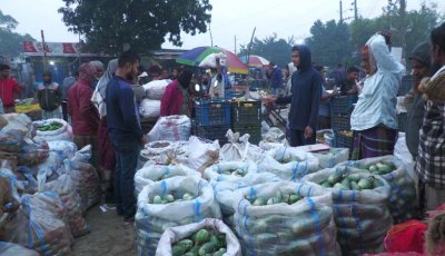 ঊর্ধ্বমুখী নাটোরের সবজির বাজার, প্রতি পিস লেবুর দাম ২০ টাকা!