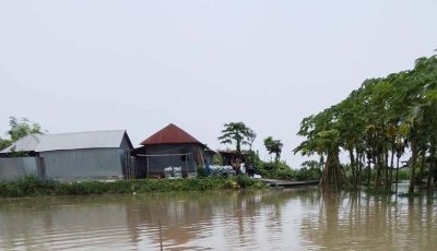 বাঘায় পদ্মার ভাঙনে তিন প্রাথমিক বিদ্যালয় স্থানান্তর