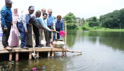 রাবিতে জাতীয় মৎস্য পক্ষ ২০২৬ উদযাপিত