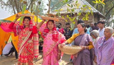 ঠাকুরগাঁওয়ে বট-পাকুড়ের বিয়ের উৎসব
