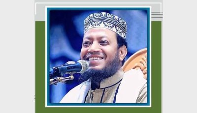 ‘কুষ্টিয়ার ডিসি হতে ২০-৩০ কোটি টাকা খরচ করা লাগছে’ বলে মন্তব্য