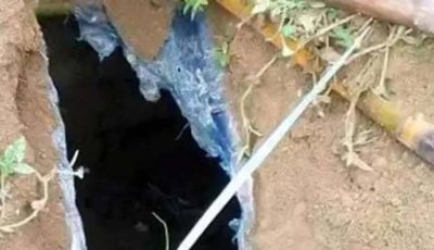 কবর খুড়ে কঙ্কাল চুরি: দায় স্বীকার করল স্কুলছাত্র