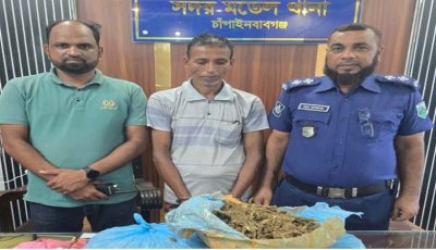চাঁপাইনবাবগঞ্জে পৃথক অভিযানে গাঁজা ও চোলাই মদসহ ৪ জন গ্রেপ্তার