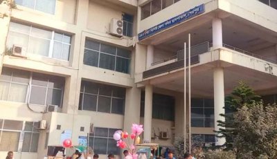 শেরপুরে সড়ক দুর্ঘটনায় সহকারী প্রিসাইডিং কর্মকর্তাসহ নিহত ২