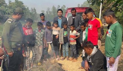 নাটোরে চলনবিলে পাখি শিকারের জাল জব্দ