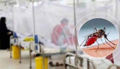 ডেঙ্গুতে আরও ৬ জনের মৃত্যু, হাসপাতালে ভর্তি ১৯৪৮