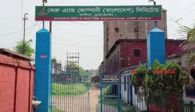 চিনিকলের লোকসান পুষিয়ে সর্বকালের রেকর্ড মুনাফায় কেরু