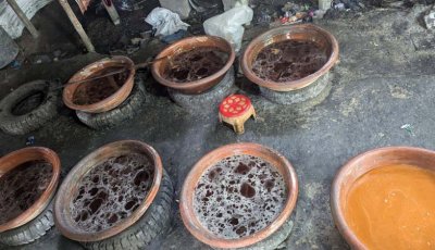 দুই দিনে বাঘায় ভেজাল গুড়ের ৪ কারখানায় অভিযান, ধ্বংস ৫৫ মণ গুড়