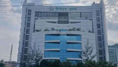 স্থানীয় সরকার নির্বাচনে থাকছে না প্রবাসীদের পোস্টাল ভোট