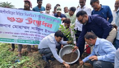 নওগাঁয় বিএমডির বৃক্ষরোপন কর্মসূচির উদ্বোধন