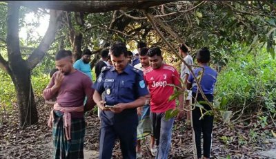 পরিত্যক্ত ঘরে ১৩ ঘোড়া জবাই, বিক্রি করা হতো গরুর মাংস বলে