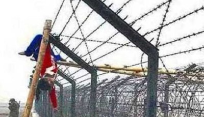 ফেলানী ঝুলে ছিল কাঁটাতারে, সেই বিচার আজো ঝুলছে ভারতে