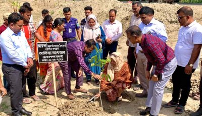 ৫ বছরে ২৫ কোটি’ বৃক্ষরোপণ: রাজশাহীতে মহাসড়কের পাশে কর্মসূচি শুরু