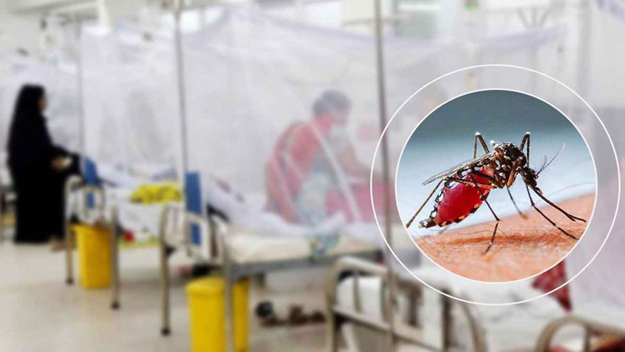 ডেঙ্গুতে একদিনে ৬ মৃত্যু, হাসপাতালে ভর্তি ৯৮৩