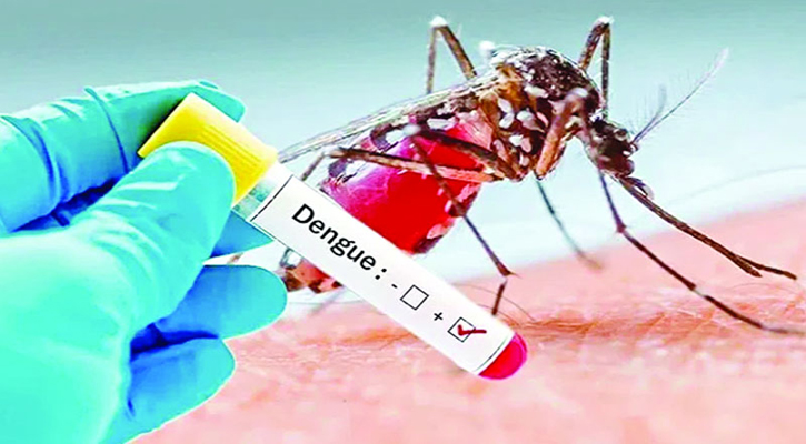 ডেঙ্গুতে ৯ জনের মৃত্যু, হাসপাতালে ভর্তি ১০৪২