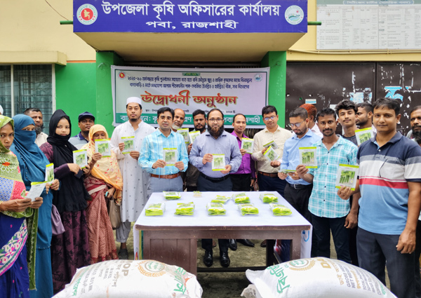 আগাম শীতকালীন সবজি চাষে প্রণোদনা পেল পবার এক হাজার ১৭০ কৃষক