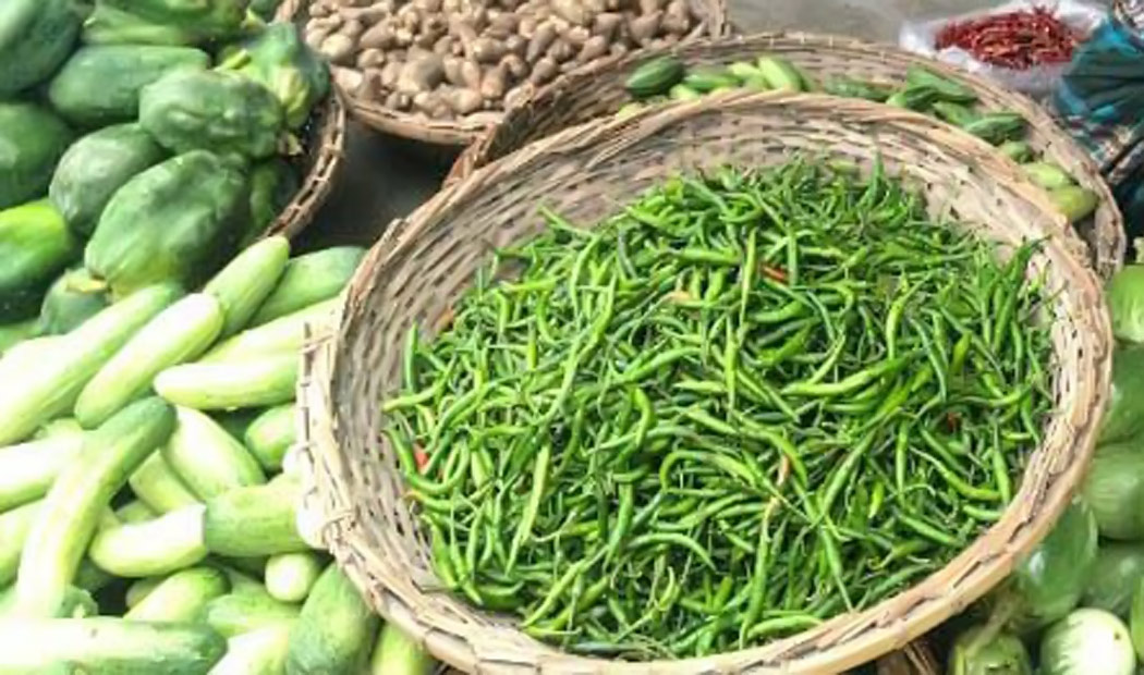 বাঘায় খুরচায় কাঁচা মরিচ প্রতিকেজি ৩২০ টাকা